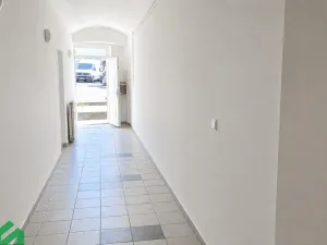 Pronájem vícegeneračního domu, Praha - Libeň, Na hrázi, 400 m2