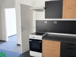 Pronájem vícegeneračního domu, Praha - Libeň, Na hrázi, 400 m2