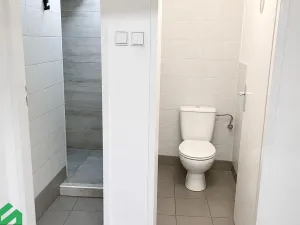 Pronájem vícegeneračního domu, Praha - Libeň, Na hrázi, 400 m2