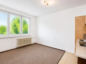 Prodej bytu 1+kk, Tábor, Petrohradská, 19 m2