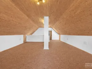Prodej rodinného domu, Nechanice - Suchá, 204 m2
