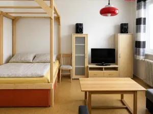 Pronájem bytu 1+1, Seč, Sídl. 9. května, 32 m2