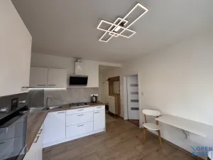 Prodej bytu 1+1, Nové Sedlo, 38 m2