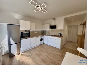 Prodej bytu 1+1, Nové Sedlo, 38 m2