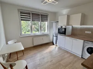 Prodej bytu 1+1, Nové Sedlo, 38 m2