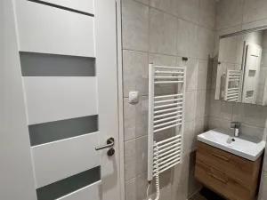 Prodej bytu 1+1, Nové Sedlo, 38 m2