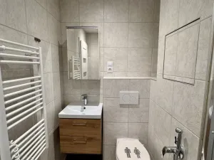 Prodej bytu 1+1, Nové Sedlo, 38 m2