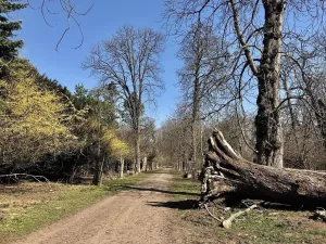 Pronájem bytu 3+kk, Sokolnice, Zámecká, 71 m2
