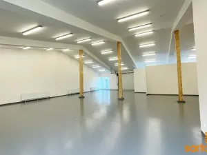Pronájem obchodního prostoru, Ústí nad Labem, Žižkova, 420 m2