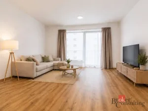 Pronájem bytu 1+kk, Plzeň - Jižní Předměstí, Železná, 47 m2