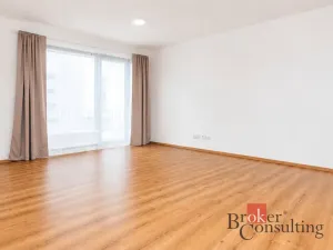 Pronájem bytu 1+kk, Plzeň - Jižní Předměstí, Železná, 47 m2