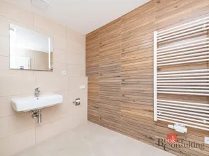 Pronájem bytu 1+kk, Plzeň - Jižní Předměstí, Železná, 47 m2