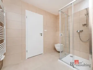 Pronájem bytu 1+kk, Plzeň - Jižní Předměstí, Železná, 47 m2