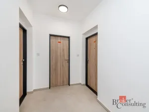 Pronájem bytu 1+kk, Plzeň - Jižní Předměstí, Železná, 47 m2