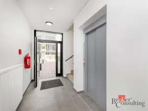 Pronájem bytu 1+kk, Plzeň - Jižní Předměstí, Železná, 47 m2