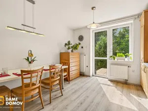 Prodej rodinného domu, Březnice, 225 m2