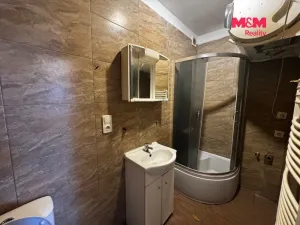 Pronájem bytu 1+kk, Mělník, Mladoboleslavská, 19 m2