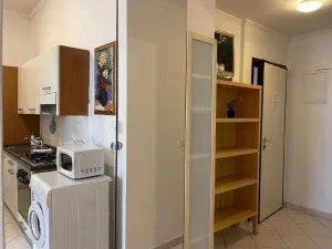 Pronájem bytu 2+kk, Praha - Nové Město, Tyršova, 45 m2