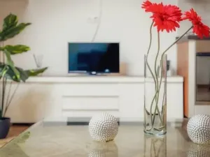 Pronájem bytu 2+kk, Praha - Nové Město, Tyršova, 60 m2