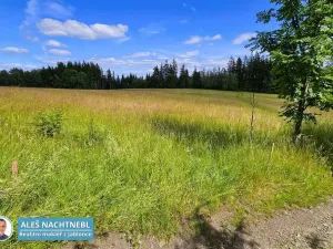 Prodej pozemku, Zásada, 1661 m2