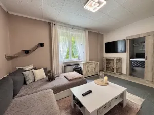 Prodej bytu 2+1, Teplice, Zrenjaninská, 52 m2