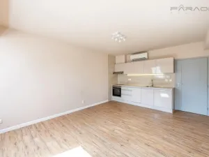Pronájem bytu 1+kk, Dobříš, 30 m2