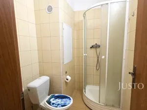 Pronájem bytu 1+1, Písek, nábřeží 1. máje, 42 m2