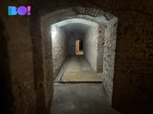 Pronájem obchodního prostoru, Praha, Ostrovní, 316 m2