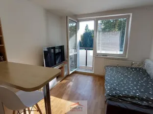 Pronájem bytu 1+kk, Valašské Meziříčí, Vsetínská, 24 m2
