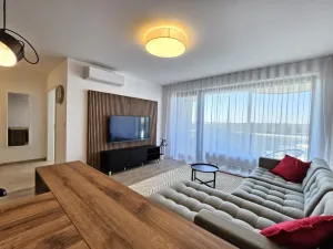 Pronájem bytu 2+kk, Plzeň - Jižní Předměstí, U Borského parku, 67 m2