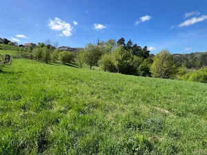 Prodej pozemku, Blansko - Klepačov, 10598 m2