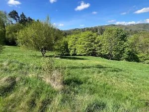 Prodej pozemku, Blansko - Klepačov, 10598 m2