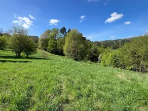 Prodej pozemku, Blansko - Klepačov, 10598 m2