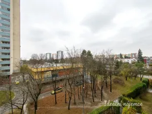 Pronájem bytu 1+kk, Praha - Krč, Tajovského, 35 m2