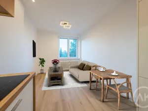Pronájem bytu 1+1, Ostrava - Mariánské Hory, Slavníkovců, 31 m2