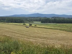 Prodej pozemku, Nová Pec, 11427 m2