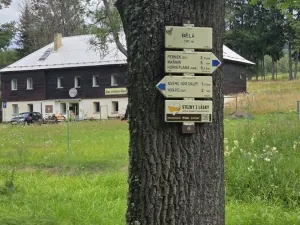Prodej pozemku, Nová Pec, 11427 m2