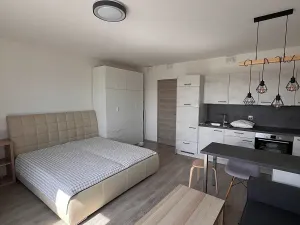 Pronájem bytu 1+kk, Praha - Horní Měcholupy, Hornoměcholupská, 40 m2