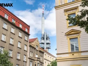 Pronájem bytu 1+kk, Praha - Vinohrady, Lucemburská, 25 m2