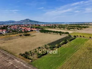 Prodej zahrady, Šakvice, 1790 m2