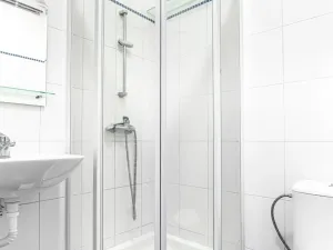 Prodej bytu 1+1, Praha - Žižkov, Lucemburská, 56 m2