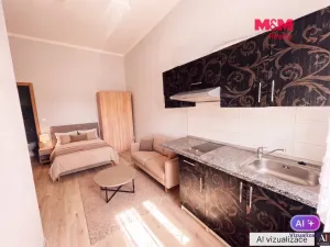 Pronájem bytu 1+kk, Mělník, Mladoboleslavská, 19 m2