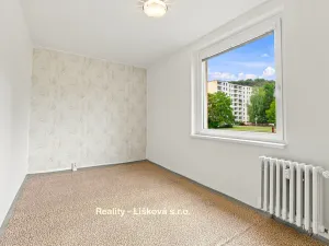 Prodej bytu 3+1, Ústí nad Labem - Krásné Březno, Anežky České, 70 m2