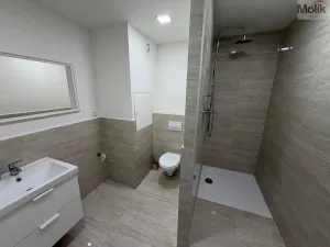 Prodej bytu 3+1, Teplice - Trnovany, Zemská, 67 m2