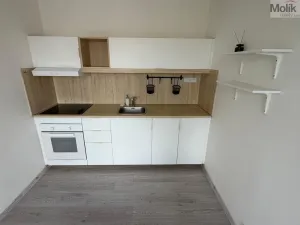 Prodej bytu 3+1, Teplice - Trnovany, Zemská, 67 m2