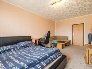 Prodej bytu 2+1, Habartov, Karla Čapka, 52 m2