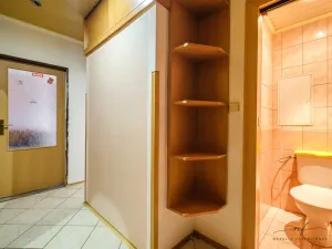 Prodej bytu 2+1, Habartov, Karla Čapka, 52 m2