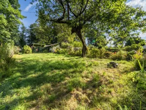 Prodej vícegeneračního domu, Aš, Kvapilova, 170 m2