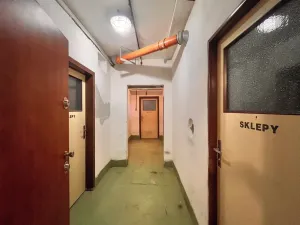 Prodej bytu 2+1, Mladá Boleslav, Na Radouči, 55 m2