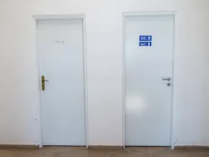 Prodej obchodního prostoru, Sadová, 262 m2
